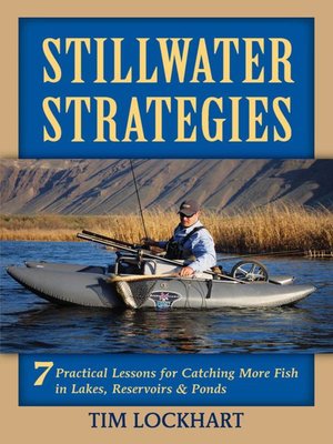 cover image of Stillwater Strategies